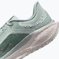 Мъжки обувки за бягане Nike Pegasus 41 GTX light pumice/pure platinum/silt red/metal silver 9