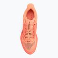 Дамски обувки за бягане Nike Pegasus Premium orange pulse/bright mango/hot lava 5