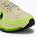 Мъжки обувки за бягане Nike Pegasus Premium alabaster/barely volt/volt ice/black 7