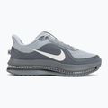 Мъжки обувки за бягане Nike Pegasus Premium wolf grey/cool grey/anthracite/sail 2