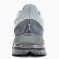 Мъжки обувки за бягане Nike Pegasus Premium wolf grey/cool grey/anthracite/sail 6