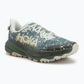 Мъжки обувки за бягане HOKA Speedgoat 6 GTX sea flass/fern