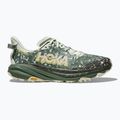 Мъжки обувки за бягане HOKA Speedgoat 6 GTX sea flass/fern 2