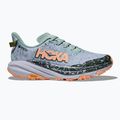 Дамски обувки за бягане HOKA Speedgoat 6 GTX jade/ash grey 2