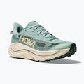 Мъжки обувки за бягане HOKA Challenger 8 jade/truffle salt 8