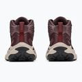 Мъжки обувки за трекинг HOKA Transport Hike GTX deep mauve/smoky quartz 6