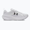 Мъжки маратонки за бягане Under Armour Assert 11 бяло/черно/далечен сив