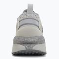 Мъжки обувки за тренировка Under Armour Phantom X Ultimate titanium/titan grey/titan grey 6