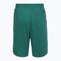 Мъжки шорти за тренировка Under Armour Rival LW Graphic rack green/black 6