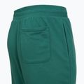 Мъжки шорти за тренировка Under Armour Rival LW Graphic rack green/black 8