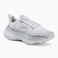 Дамски обувки за тренировка Under Armour Pulse white/distant gray/distant gray