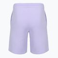 Мъжки шорти New Balance Fleece Shorts 9" daybreak 2