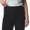 Мъжки сноуборд панталони Columbia Winter District black 6