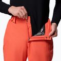 Мъжки скиорски панталони Columbia Bugaboo V zing 6