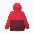 Детско скиорско яке Columbia Alpine Action III rich wine melange/mountain red 2