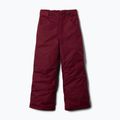 Детски скиорски панталони Columbia Starchaser Peak III rich wine 6