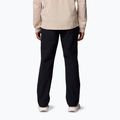 Мъжки панталони за трекинг Columbia ROC Tech Chino black 3