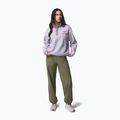 Дамски поларен суитшърт Columbia Helvetia II Cropped Half Snap Fleece lavender pearl/shale purple/zing 2