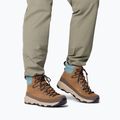 Мъжки обувки Columbia Newton Alpine PT light brown/metal 8