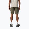 Мъжки шорти за трекинг Columbia Silver Ridge Elite stone green 3