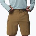 Мъжки шорти за трекинг Columbia Cosmiques Pro Nylon delta 5