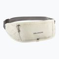 Колан за бягане Salomon Pulse Sling icicle / castlerock