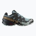 Мъжки маратонки за бягане Salomon Speedcross 6 GTX trooper/black/wood thrush 2
