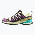 Мъжки обувки за бягане Salomon XA PRO 3D V9 GTX transparent yellow/black/waterfall 9