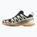 Мъжки обувки за бягане Salomon XA PRO 3D V9 GTX black/vanilla ice/turmeric 9