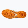 Мъжки обувки за бягане Salomon XA PRO 3D V9 GTX black/vanilla ice/turmeric 11