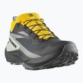 Мъжки обувки за бягане Salomon Genesis GTX black/sedona sage/incaberry 8