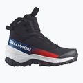 Мъжки обувки за трекинг Salomon Crosstrak Powder WP Equipe black/black