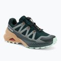 Дамски обувки за бягане Salomon Speedcross Peak GTX scarab/soft clay/bay