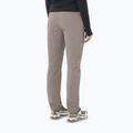 Дамски панталони за трекинг Salomon Wayfarer Warm iron 2