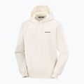 Мъжки суитшърт Salomon Chest Logo Hoodie whisper white 5