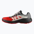 Мъжки обувки за бягане Salomon Alphaglide GTX flame scarlet/black/pewter 9