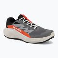Мъжки обувки за бягане  Salomon Alphaglide GTX castlerock/lunar rock