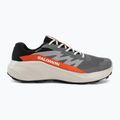 Мъжки обувки за бягане  Salomon Alphaglide GTX castlerock/lunar rock 2