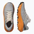 Мъжки обувки за бягане Salomon Ultra Flow 2 GTX gull/turmeric/white pepper 8