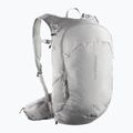 Туристическа раница Salomon Trailblazer 20 l cloudburst/paloma/silver