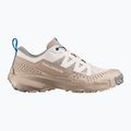Мъжки туристически обувки Salomon Techamphibian 5 rainy day/desert tan/mykonos blue 9