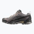 Мъжки туристически обувки Salomon X Ultra 5 cloudburst/black/willow 2
