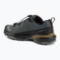 Мъжки обувки за трекинг Salomon X Ultra 360 GTX urban chic/black 3