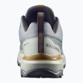 Мъжки обувки за трекинг Salomon X Ultra 360 sedona sage/wrought iron 4