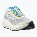 Мъжки обувки за бягане Salomon Aero Blaze 3 GRVL vanilla ice/ojos del salar/black 9