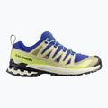 Мъжки обувки за бягане Salomon XA Pro 3D V9 bluing/bog/acid lime