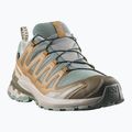 Мъжки обувки за бягане  Salomon XA Pro 3D V9 GTX sedona sage/brilliant olive 2