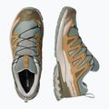 Мъжки обувки за бягане  Salomon XA Pro 3D V9 GTX sedona sage/brilliant olive 3