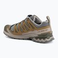 Мъжки обувки за бягане  Salomon XA Pro 3D V9 GTX sedona sage/brilliant olive 3
