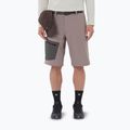 Мъжки шорти за трекинг Salomon Outerpath Utility iron